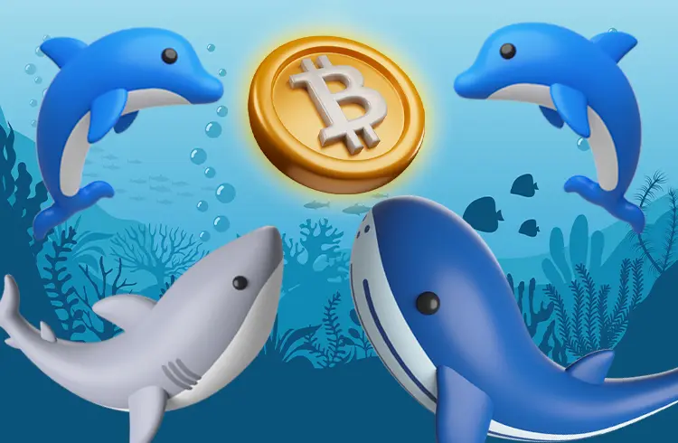 baleia-tubarao-golfinho-btc-bitcoin-bitcoins