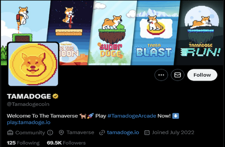 Tamadoge, leader du jeu P2E, lance une application Android